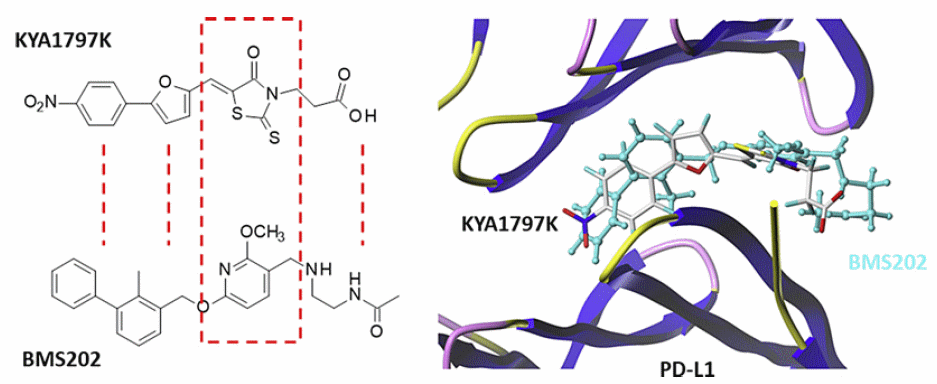 New Publication: Identification Of An Inhibitor Of The PD-1/PD-L1 ...